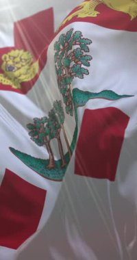 Kanada 'nın Prens Edward Adası' nın bayrağı. 4K dikey. Döngü