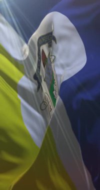 Kanada 'nın Manitoba eyaletinde Winnipeg bayrağı. Döngü. 4K Dikey