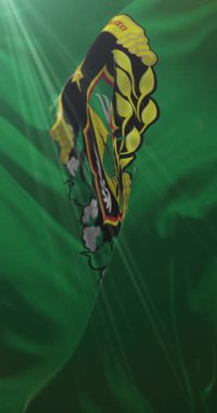 Endonezya 'nın Yogyakarta şehrinin bayrağı. 4K dikey. Döngü