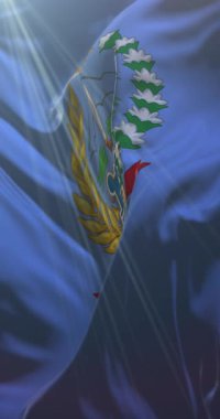 Güney Sulawesi, Endonezya bayrağı. Döngü. 4K Dikey