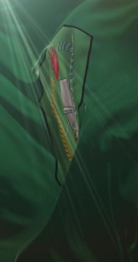 Batı Kalimantan, Borneo, Endonezya bayrağı. 4K dikey. Döngü