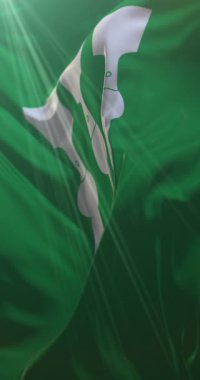 Norveç 'in Hedmark ilçesi bayrağı. Döngü. 4K Dikey