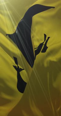 Nordland, Norveç bayrağı. Döngü. 4K Dikey