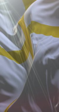 Norveç 'in Nord-Trondelag ilçesi bayrağı. Döngü. 4K Dikey