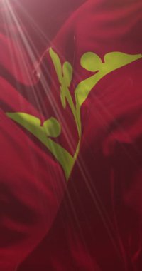 Norveç 'in Vestfold ilçesi bayrağı. Döngü. 4K Dikey