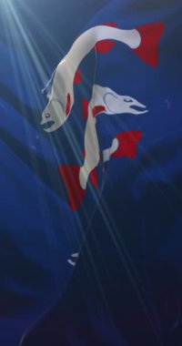 İsveç 'in Angermanland eyaletinin bayrağı. 4K dikey. Döngü