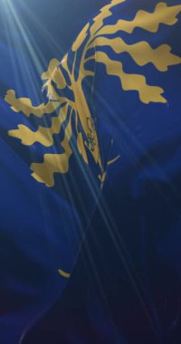 Blekinge County, İsveç bayrağı. 4K dikey. Döngü