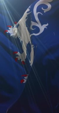 Halland County, İsveç bayrağı. 4K dikey. Döngü