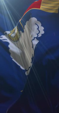 İsveç, Vstergtland bayrağı. 4K dikey. Döngü