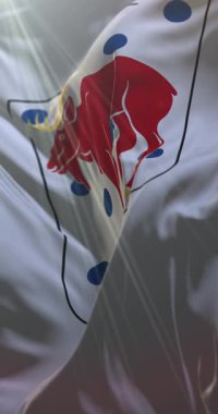 İsveç 'in Gastrikland bayrağı. 4K dikey. Döngü