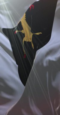 Halsingland, İsveç bayrağı. 4K dikey. Döngü