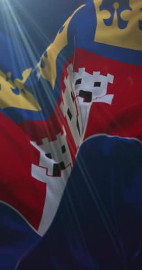 Jnkping County, İsveç bayrağı. 4K dikey. Döngü