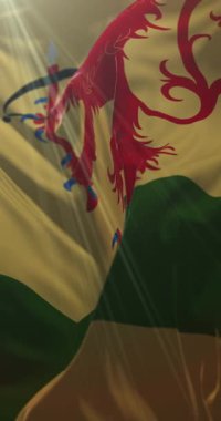 İsveç 'in Kronoberg ilçesi bayrağı. 4K dikey. Döngü