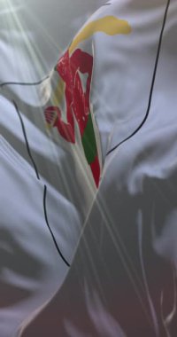 İsveç 'in tarihi Laponya bayrağı. 4K dikey. Döngü