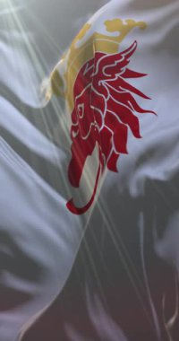 Malmö bayrağı, Skane County, İsveç. 4K dikey. Döngü