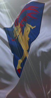 İsveç, Oland Adası bayrağı. 4K dikey. Döngü