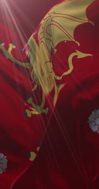 Stergtland County, İsveç bayrağı. 4K dikey. Döngü