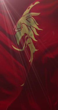 Skane County, İsveç bayrağı. 4K dikey. Döngü