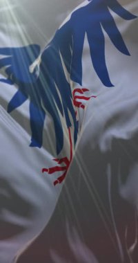 Varmland County, İsveç bayrağı. 4K dikey. Döngü