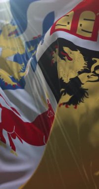 Vstra Gtaland County, İsveç bayrağı. 4K dikey. Döngü