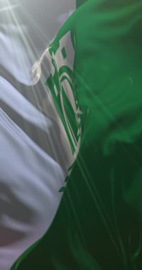 Arnavutluk 'un Elbasan kenti bayrağı. Döngü. 4K Dikey