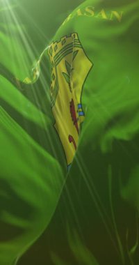 Arnavutluk 'un Elbasan Eyaleti bayrağı. Döngü. 4K Dikey