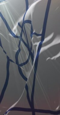 Aromen Bayrağı. Döngü. 4K Dikey