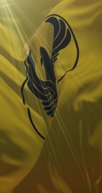 Pontik Yunanlıların Bayrağı, Yunanistan. Döngü. 4K Dikey