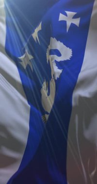 Orta Ostrobothnia Bölgesi bayrağı, Finlandiya. 4K dikey. Döngü