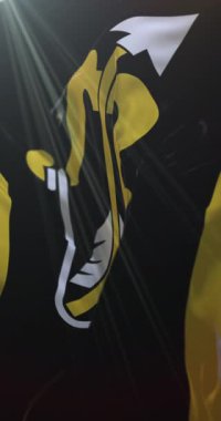 Kuzey Savo Bölgesi, Finlandiya bayrağı. 4K dikey. Döngü