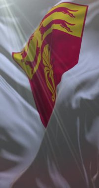 Ostrobothnia bayrağı, Finlandiya. 4K dikey. Döngü