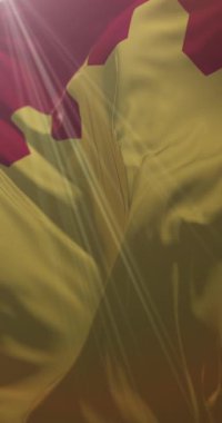 Pirkanmaa bayrağı, Finlandiya. 4K dikey. Döngü