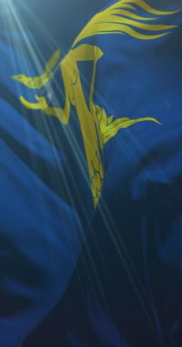 Finlandiya, Paijat Hame bayrağı. 4K dikey. Döngü