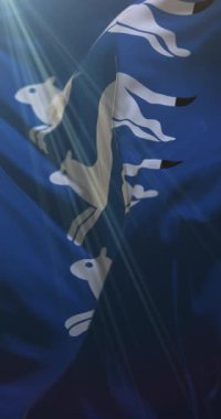 Güney Ostrobothnia Bölgesi, Finlandiya. 4K dikey. Döngü