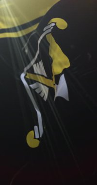 Güney Savo Bölgesi, Finlandiya bayrağı. 4K dikey. Döngü