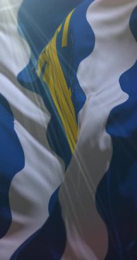 Uusimaa bayrağı, Finlandiya. 4K dikey. Döngü