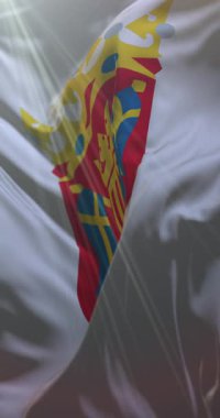 Finlandiya 'nın güneybatı bölgesinin bayrağı. 4K dikey. Döngü