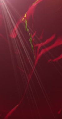 Guangxi bayrağı, Çin. 4K dikey. Döngü