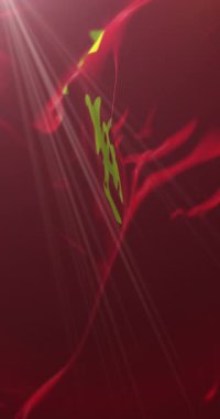 Henan bayrağı, Çin. 4K dikey. Döngü