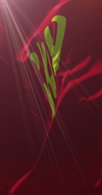 Hubei bayrağı, Çin. 4K dikey. Döngü