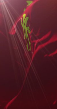 Jiangsu bayrağı, Çin. 4K dikey. Döngü