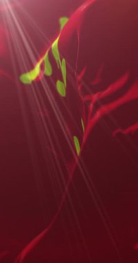 Jilin bayrağı, Çin. 4K dikey. Döngü