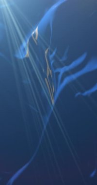 Çin Ulusal Oyunları 'nda Qinghai bayrağı. 4K dikey. Döngü