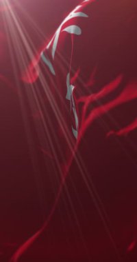 Shaanxi bayrağı, Çin. 4K dikey. Döngü