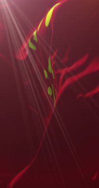 Zhejiang bayrağı, Çin. 4K dikey. Döngü