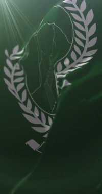 Pakistan 'ın Hayber Pakhtunkhwa bayrağı. 4K dikey. Döngü