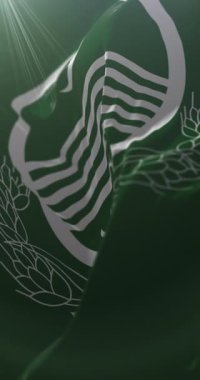 Pakistan, Punjab bayrağı. 4K dikey. Döngü