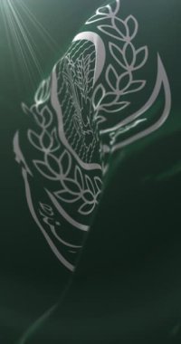 Pakistan 'ın Sindh eyaletinin bayrağı. 4K dikey. Döngü