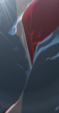 Entre Rios Eyaleti Bayrağı, Arjantin. Döngü. 4K Dikey