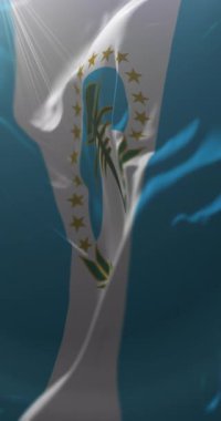 Neuquen Eyaleti Bayrağı, Arjantin. Döngü. 4K Dikey